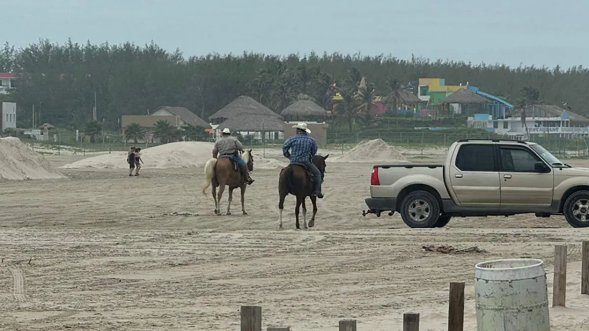 Restringen la circulación entre las 12:00 pm y las 4:00 de la tarde para evitar exponerlos a las altas temperaturas