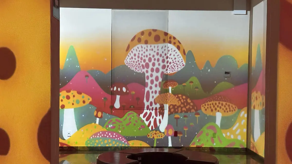 El Museo del Niño en Tampico cuenta con una sala para exposiciones inmersivas