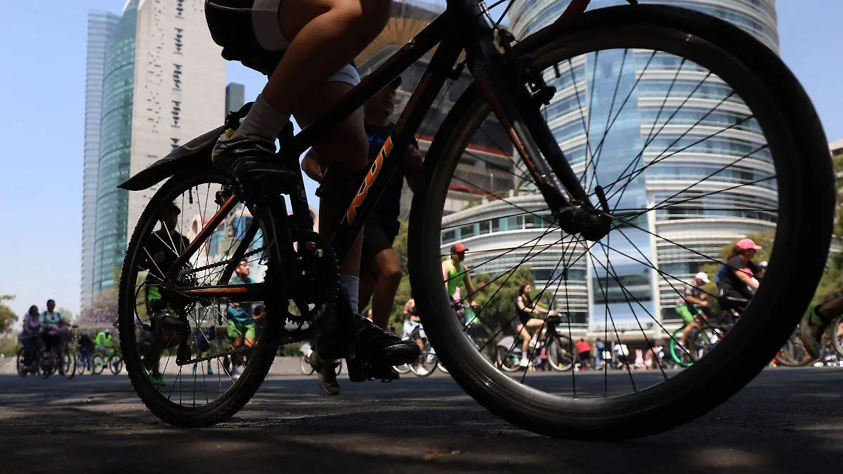 1026818_Paseo Ciclista_web