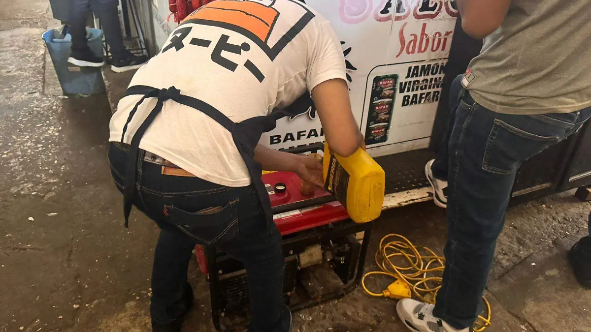 Mercado plantas de luz