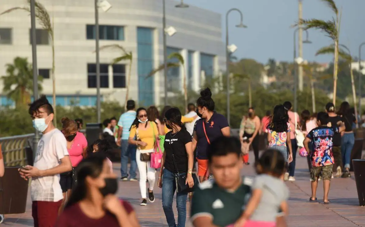 WhatsApp Image 2022-01-16 at 12.02.44 PM