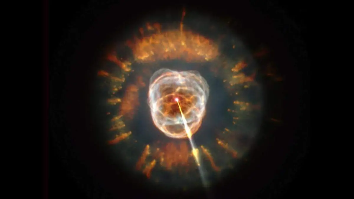 WhatsApp Image 2021-11-09 at 14.56.37