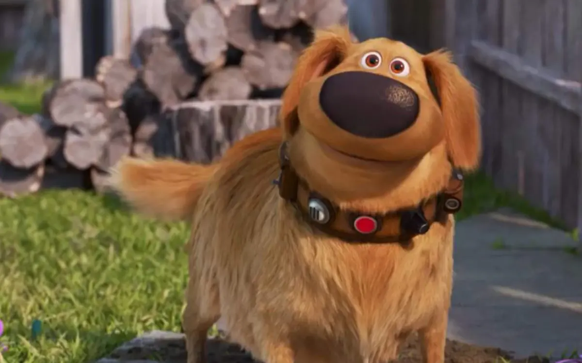 DUG