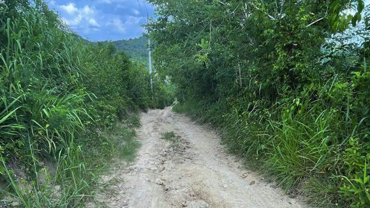 camino