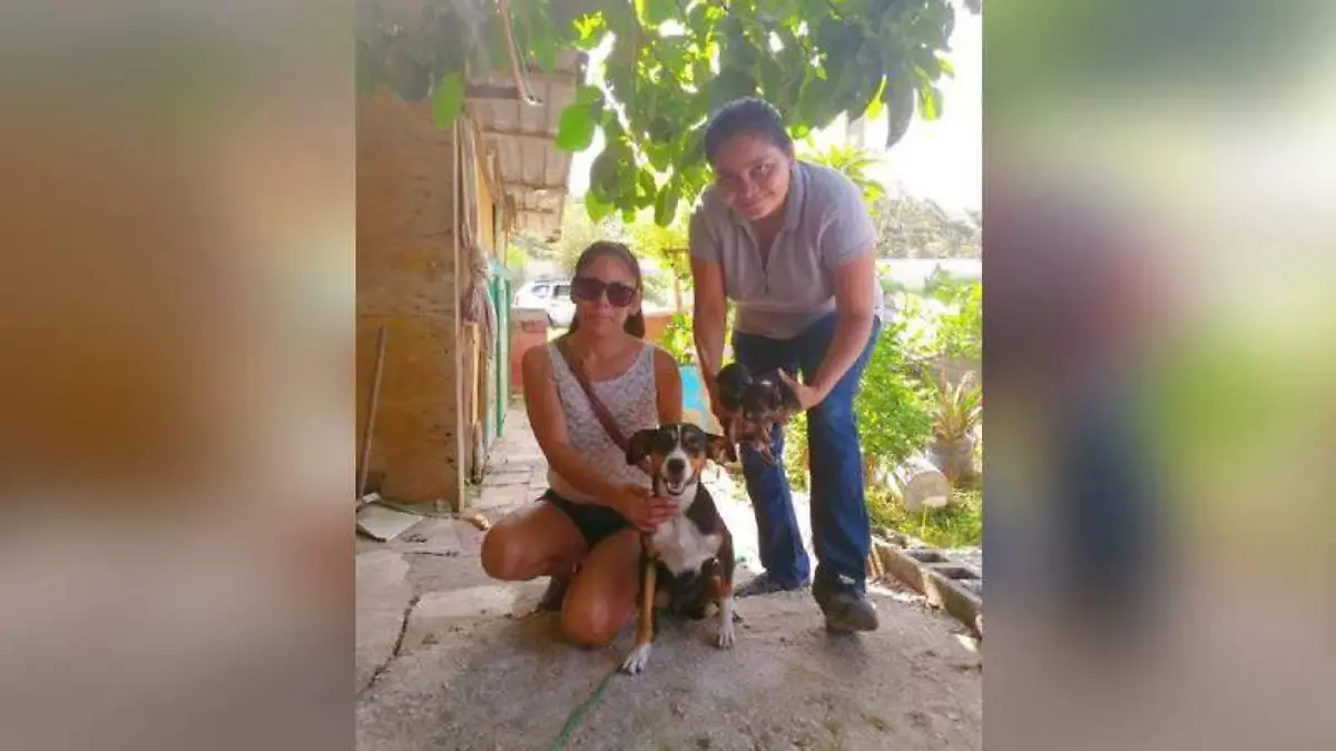 800_500_white_5f371f55bbe58