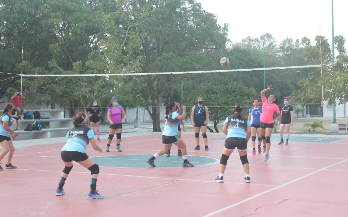 WhatsApp Image 2021-04-28 at 16.05.19