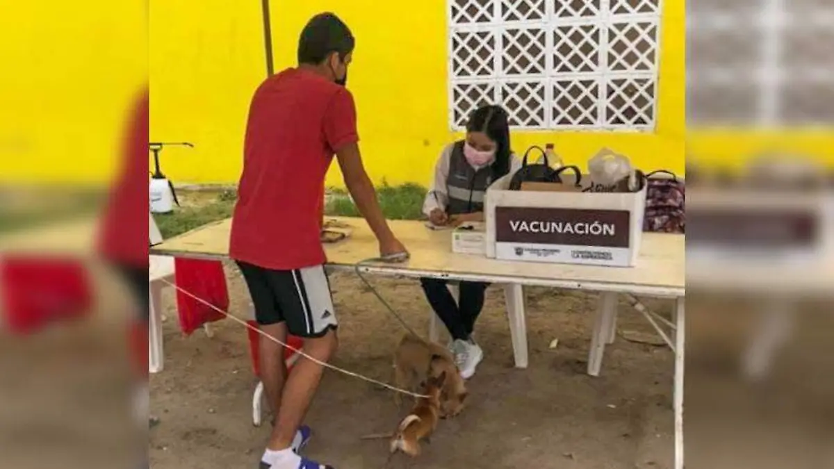 800_500_white_602932a520ec6 (3)