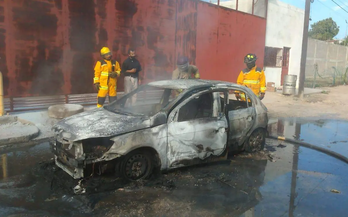 WhatsApp Image 2021-01-25 at 16.52.04