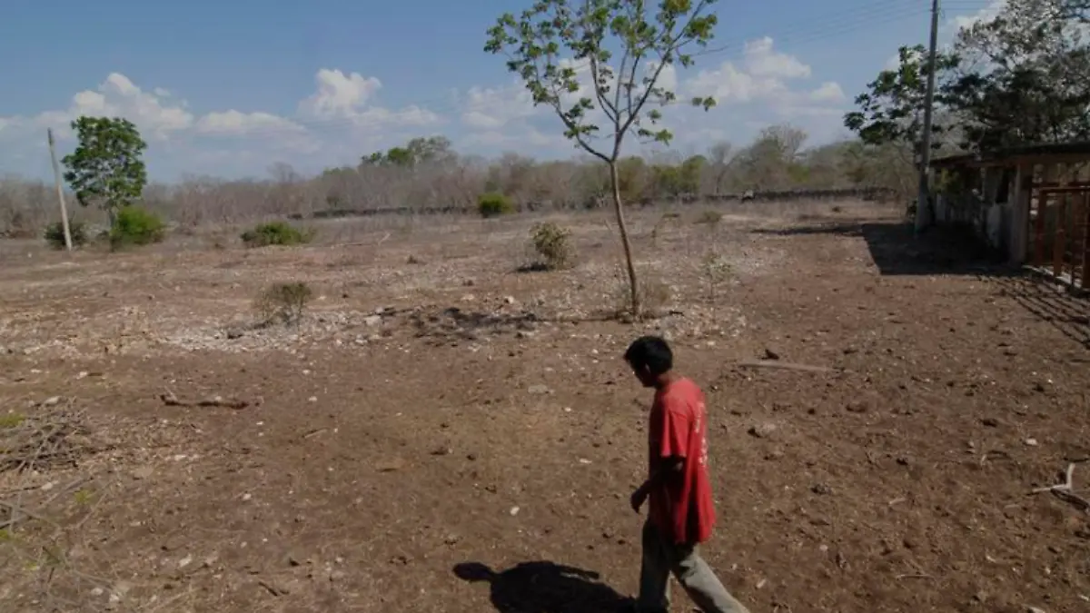 Captura de Pantalla 2020-03-20 a la(s) 22.11.39 (1)