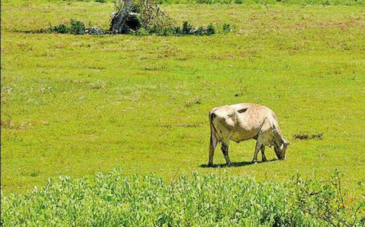 Anotación 2020-06-09 194532