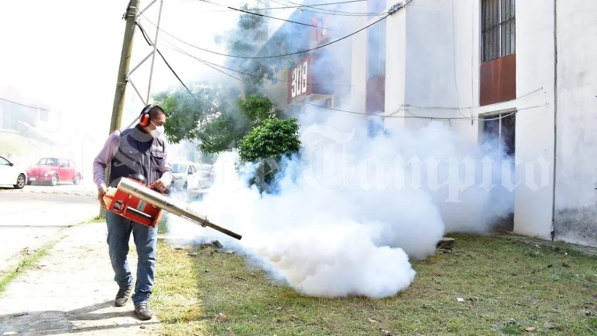 WhatsApp Image 2020-07-13 at 5.04.40 PM (1)