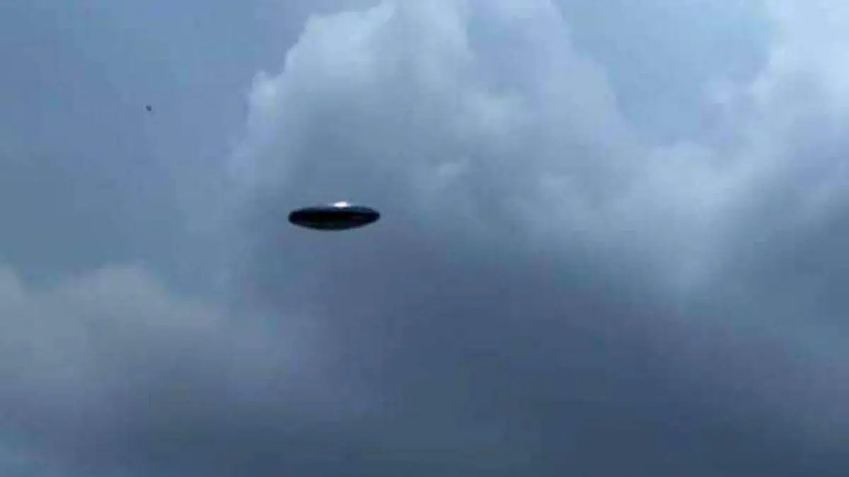 Diseño sin título (20)