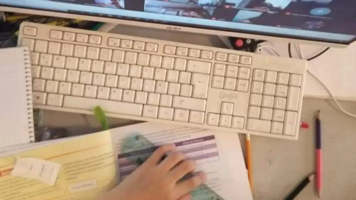 CLASES EN LÍNEA