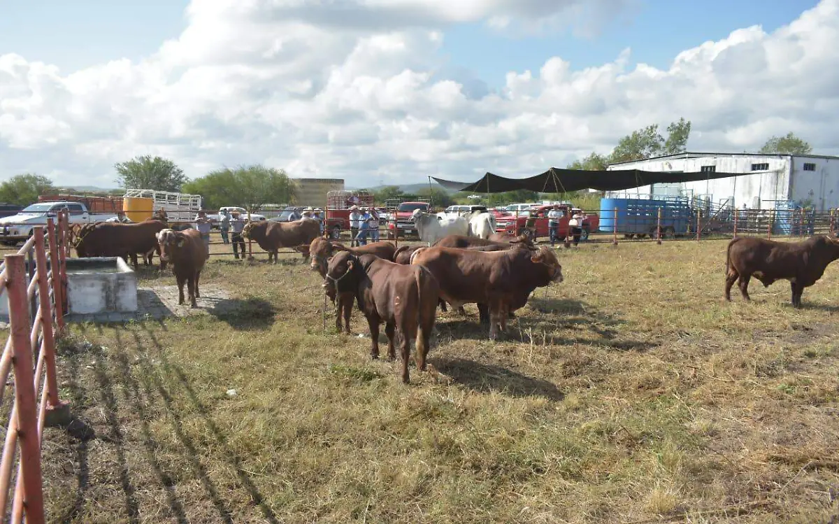 WhatsApp Image 2020-11-29 at 12.33.42