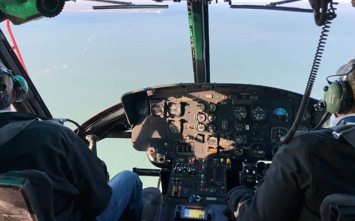 WhatsApp Image 2021-02-20 at 09.02.36