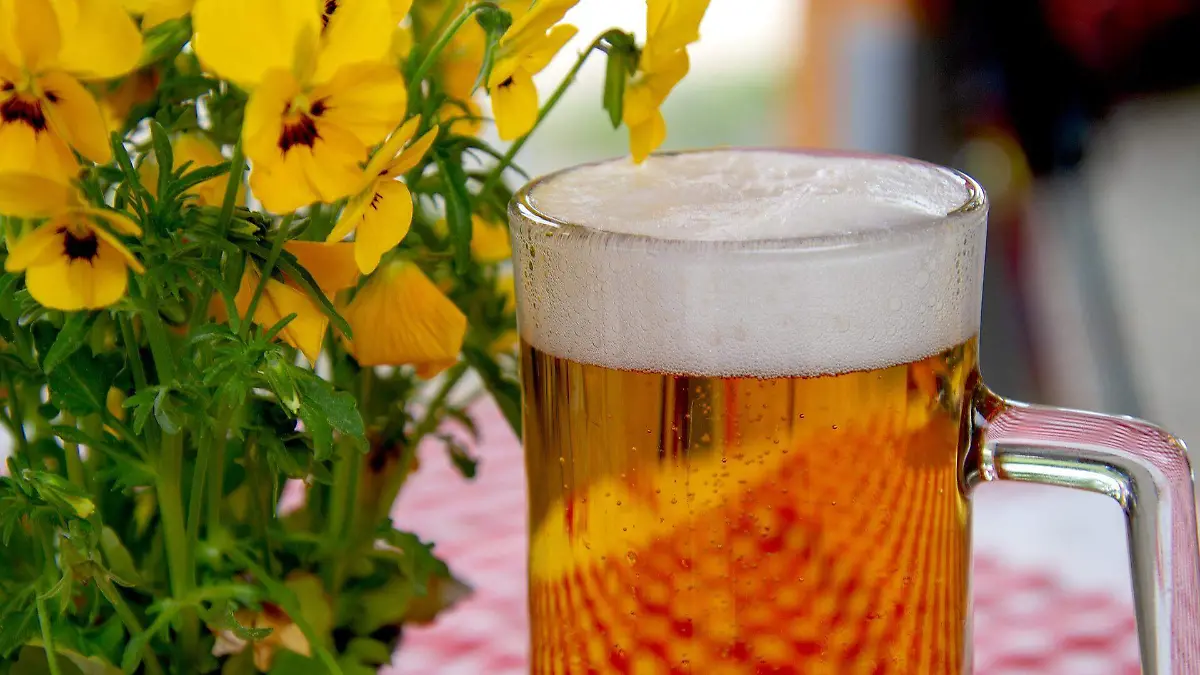 Alcoholismo, enfermedad que se puede prevenir