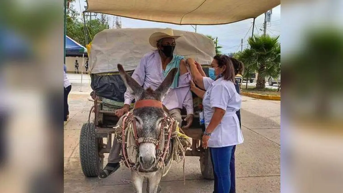 VACUNA