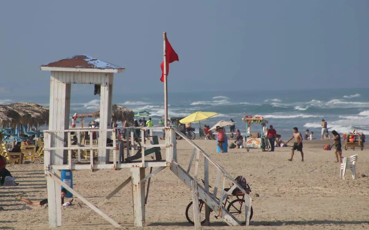 WhatsApp Image 2020-12-13 at 3.40.15 PM