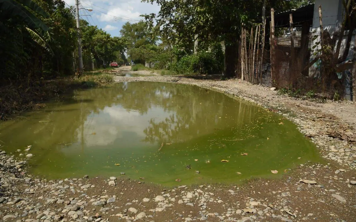 Pánuco, sin transformación