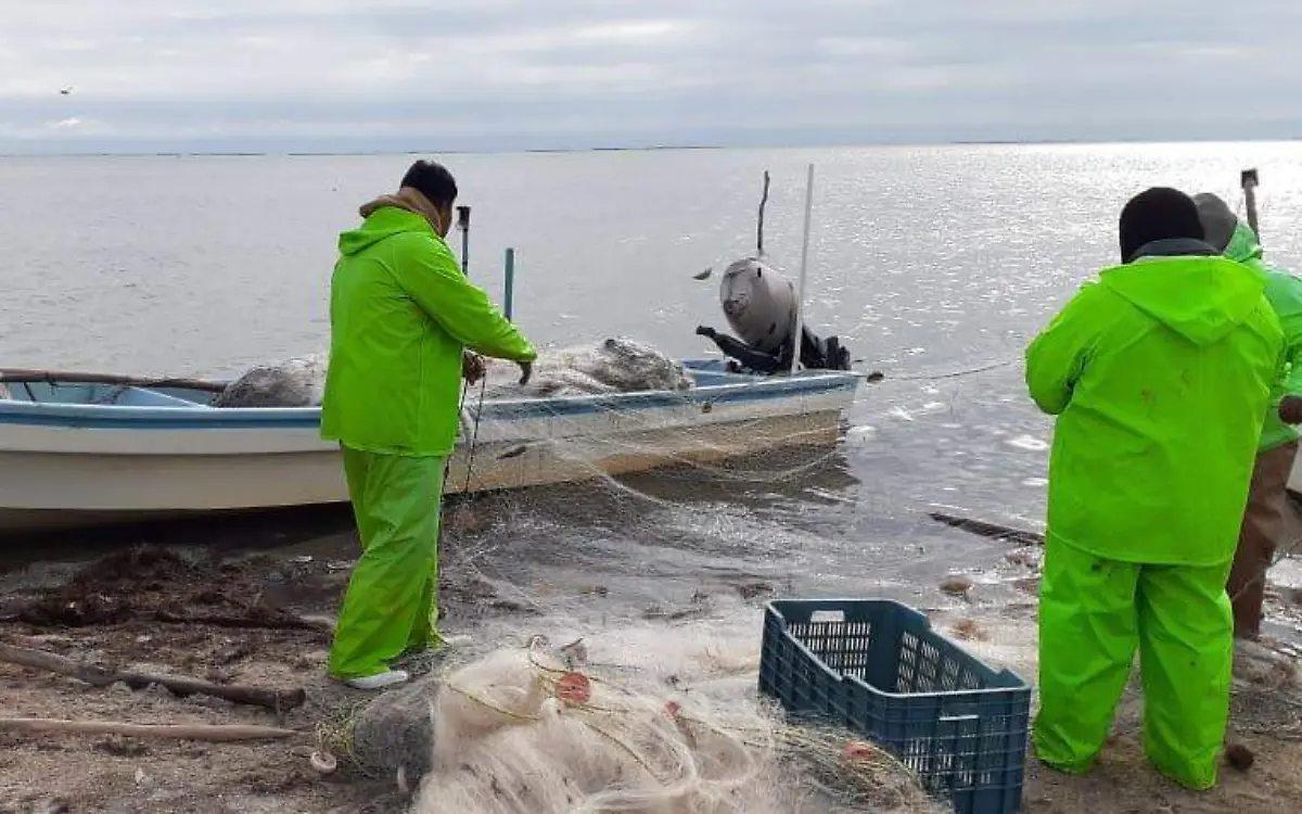 WhatsApp Image 2021-02-17 at 13.47.23