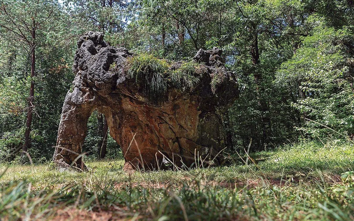 EL ELEFANTE
