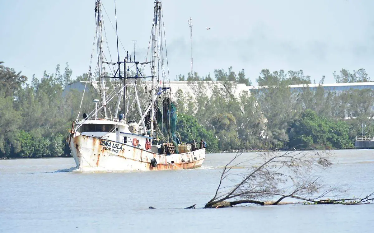 WhatsApp Image 2020-10-09 at 11.44.05 AM