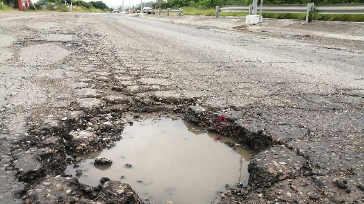 WhatsApp Image 2020-09-07 at 9.30.09 AM