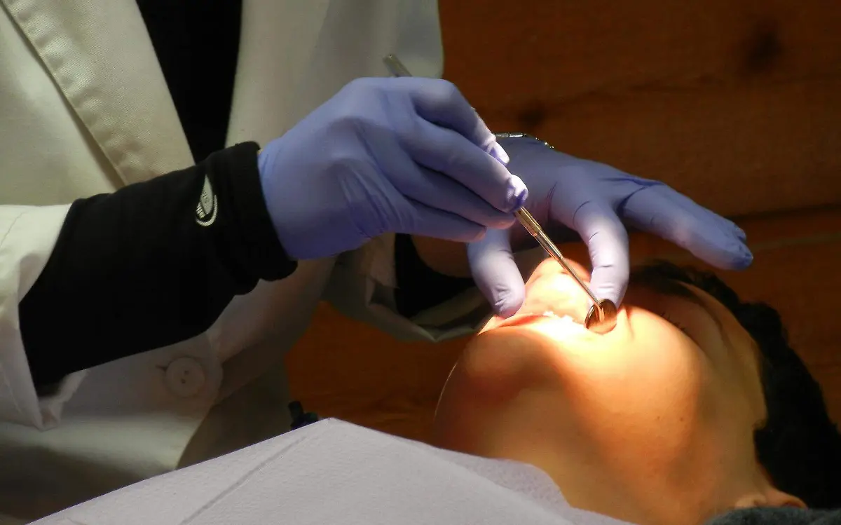 orthodontist-g01598fbd3_1920