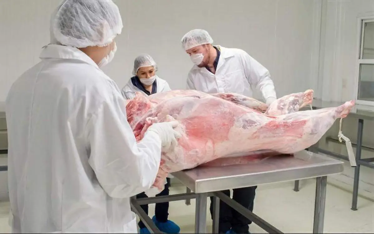 Anotación 2020-07-23 200824