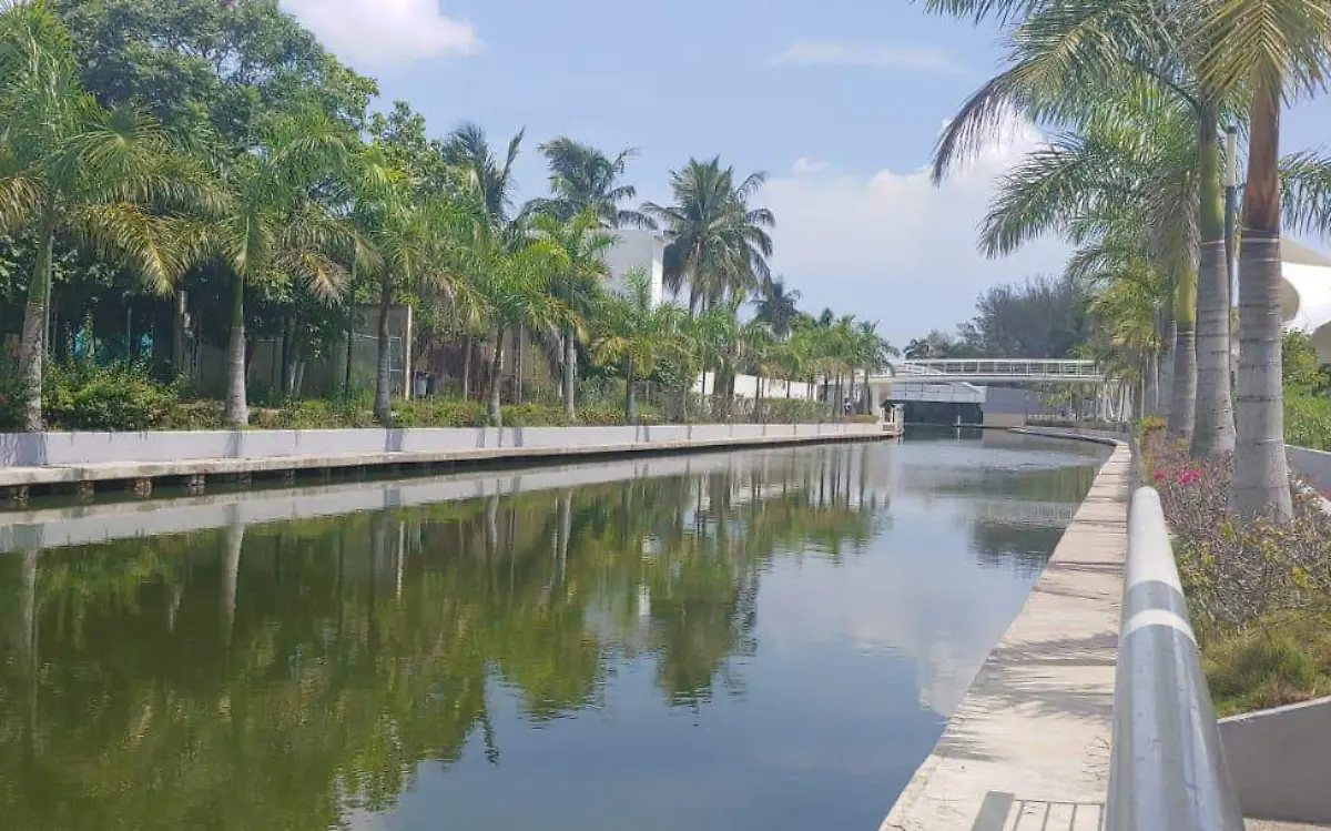 WhatsApp Image 2020-08-16 at 9.43.01 AM