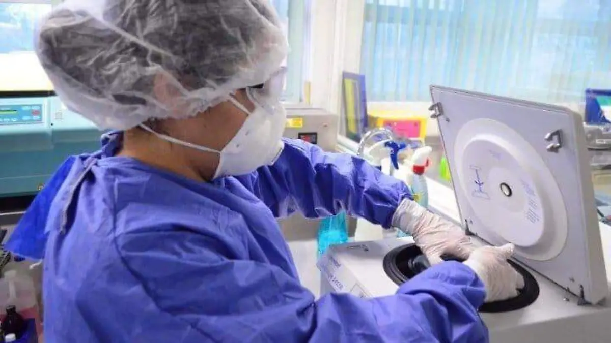 WhatsApp Image 2020-09-04 at 15.48.02