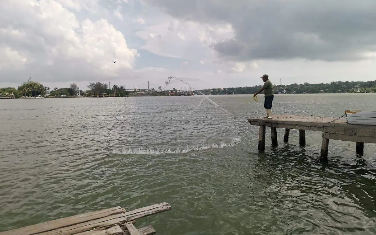 WhatsApp Image 2020-09-06 at 2.46.11 PM