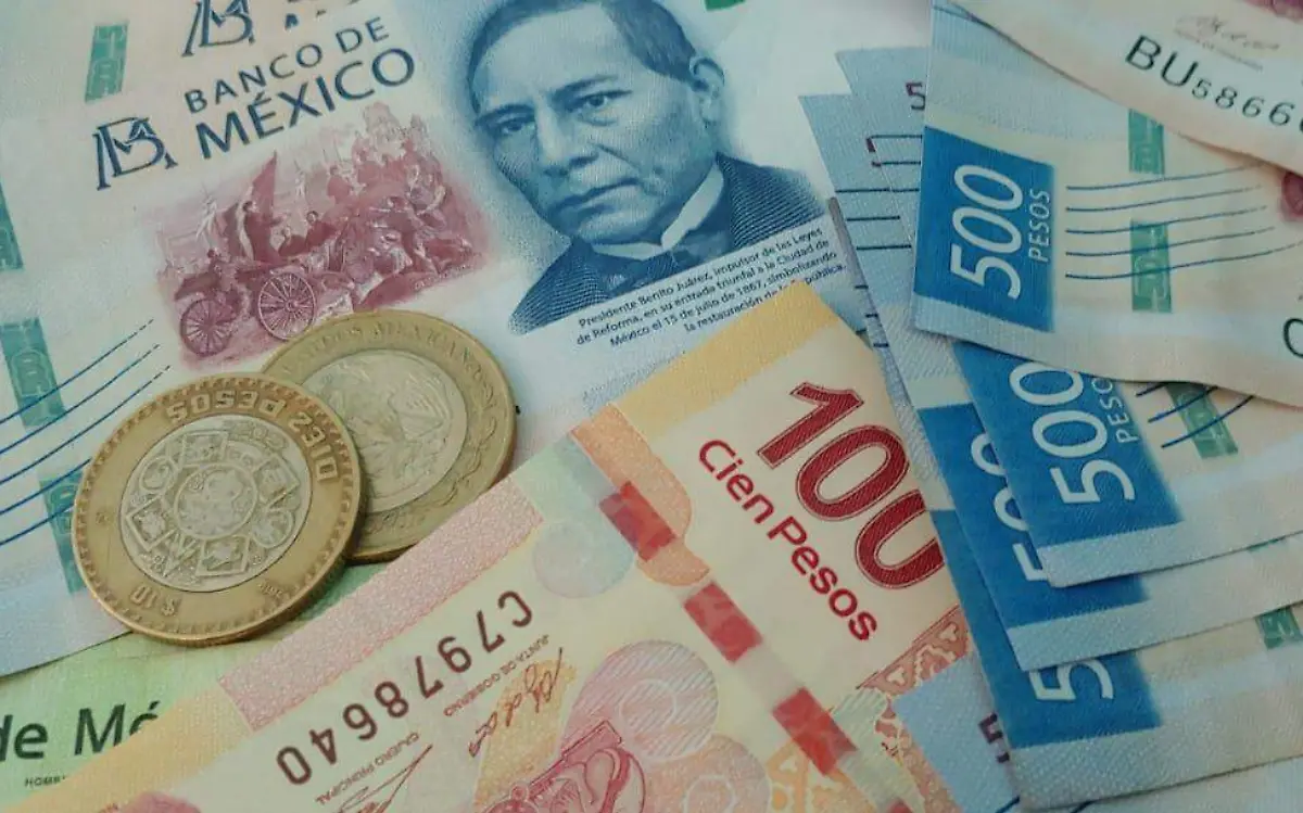 WhatsApp Image 2021-03-02 at 14.55.01