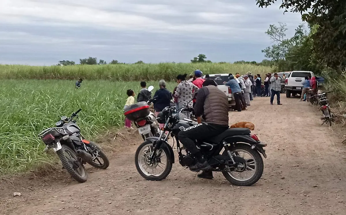 WhatsApp Image 2020-11-30 at 18.16.26 (1)