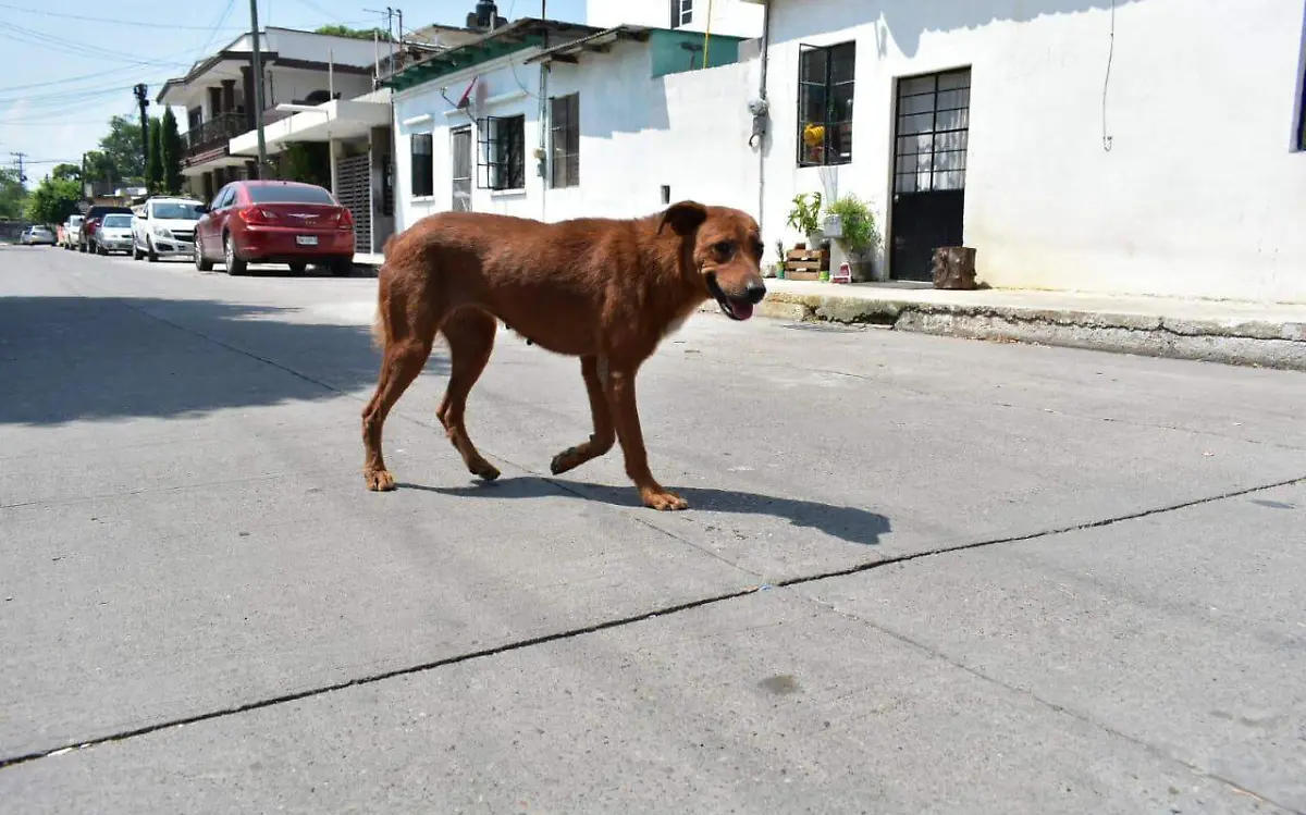 WhatsApp Image 2020-09-22 at 16.44.02