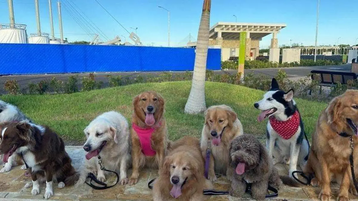 WhatsApp Image 2021-08-17 at 1.38.40 PM