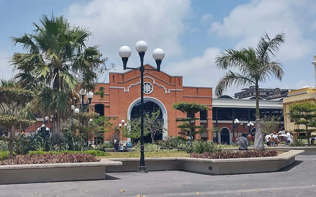Clima Tampico