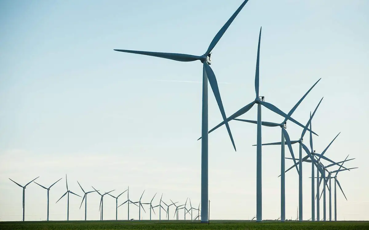 WhatsApp Image 2021-02-22 at 12.03.56