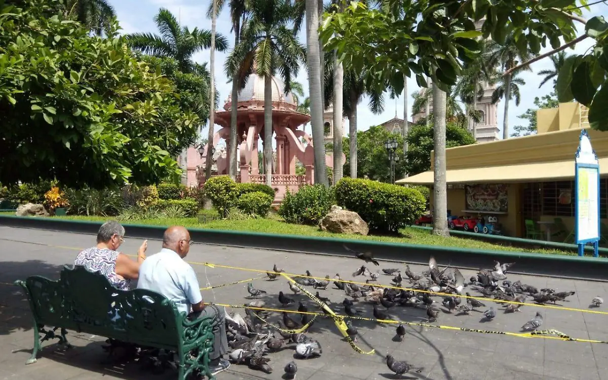 WhatsApp Image 2020-09-29 at 12.21.41