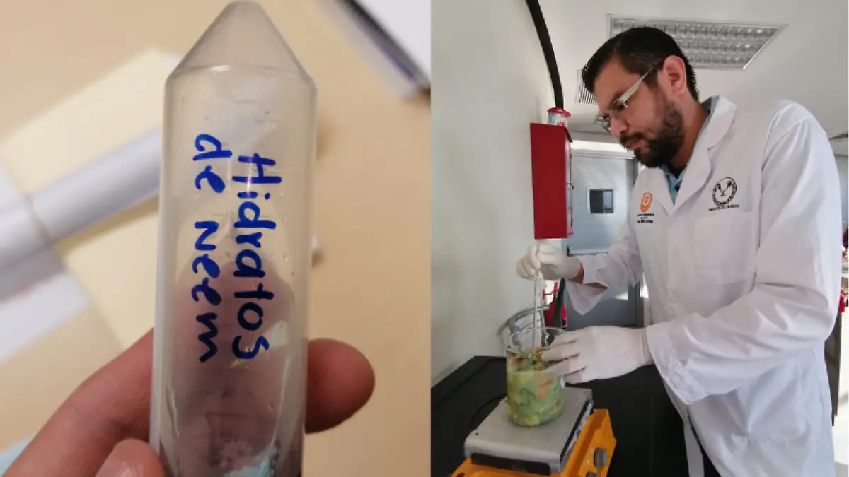 Insecticidas naturales, el proyecto de la UAT para controlar plagas en el campo tamaulipeco