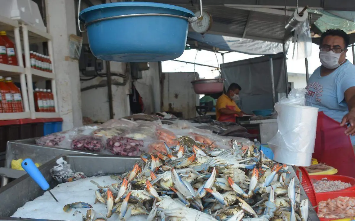 WhatsApp Image 2021-03-16 at 16.59.17