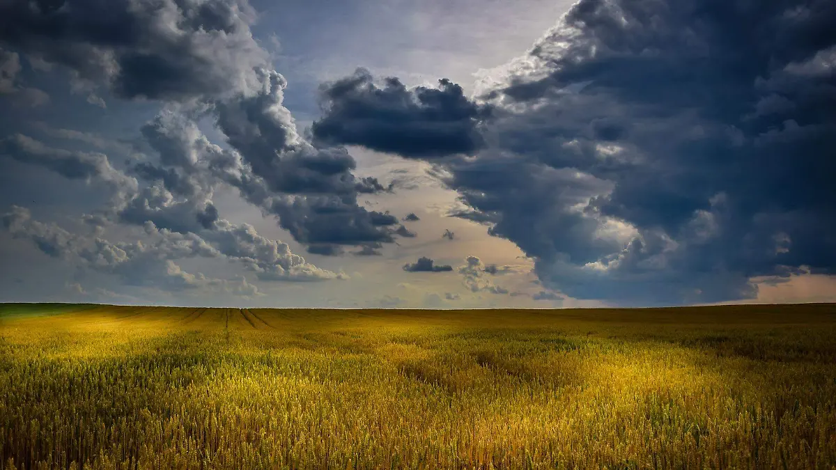 agriculture-g6e90810c7_1920