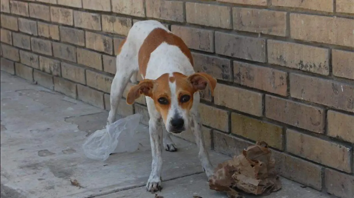 Anotación 2020-07-20 194851