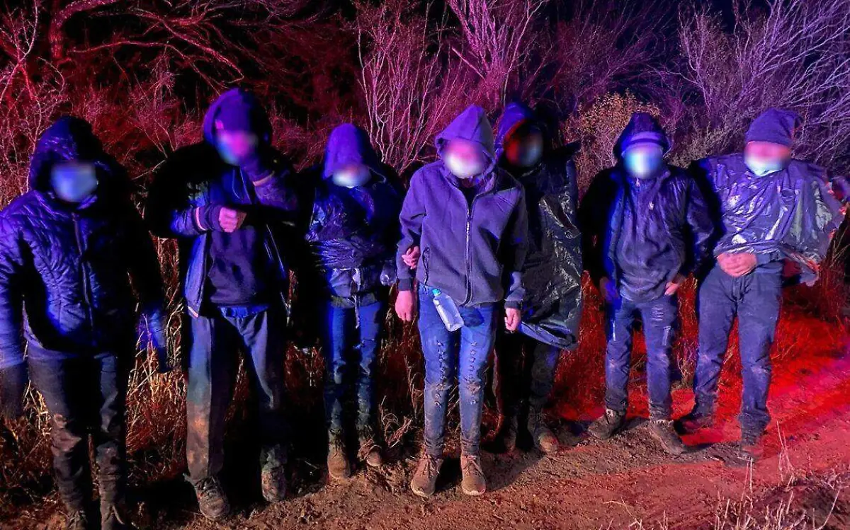 WhatsApp Image 2021-02-19 at 11.28.58