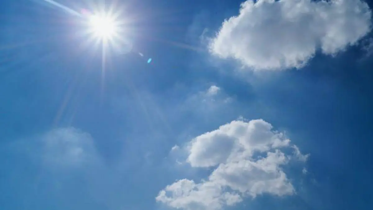 sunny suny