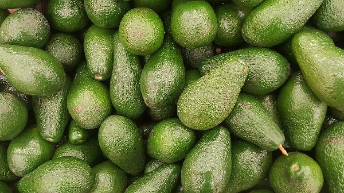 avocado