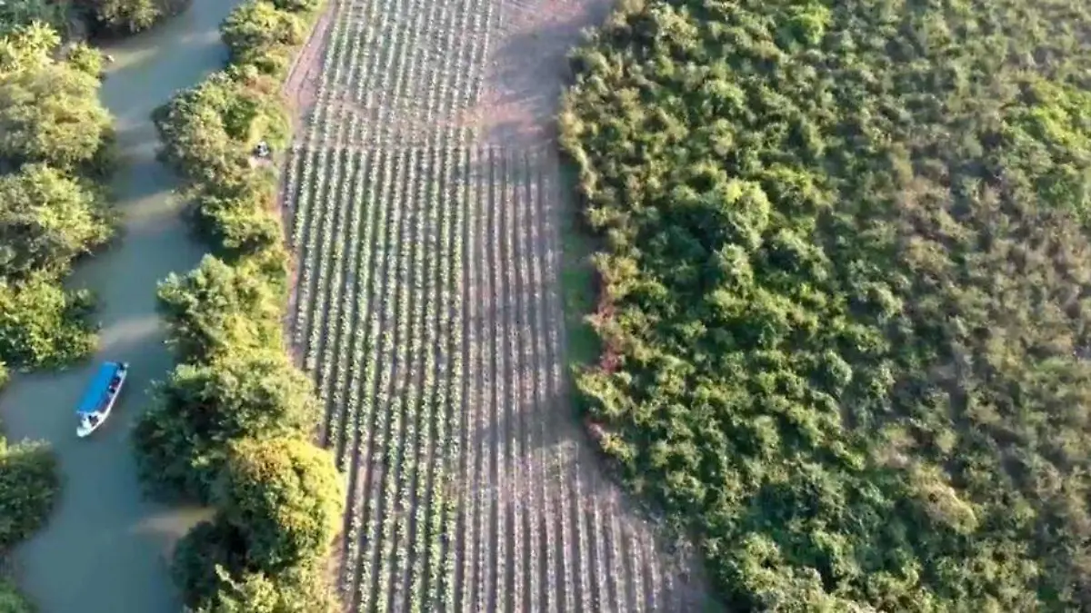 WhatsApp Image 2020-10-15 at 7.23.42 PM