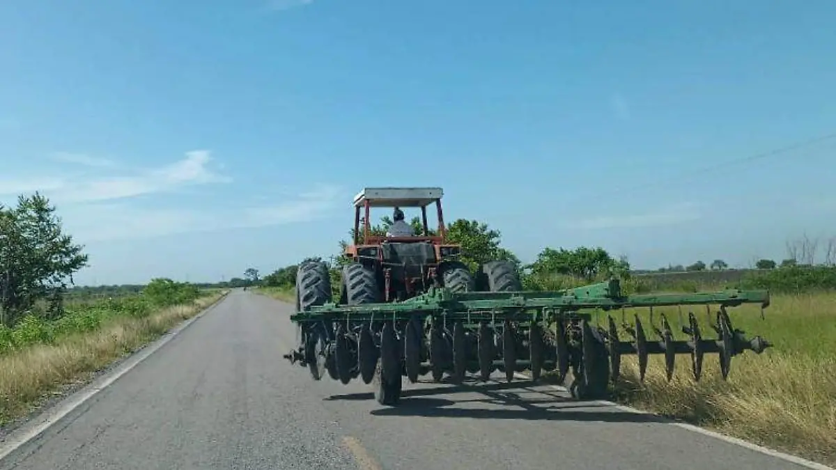 siembra