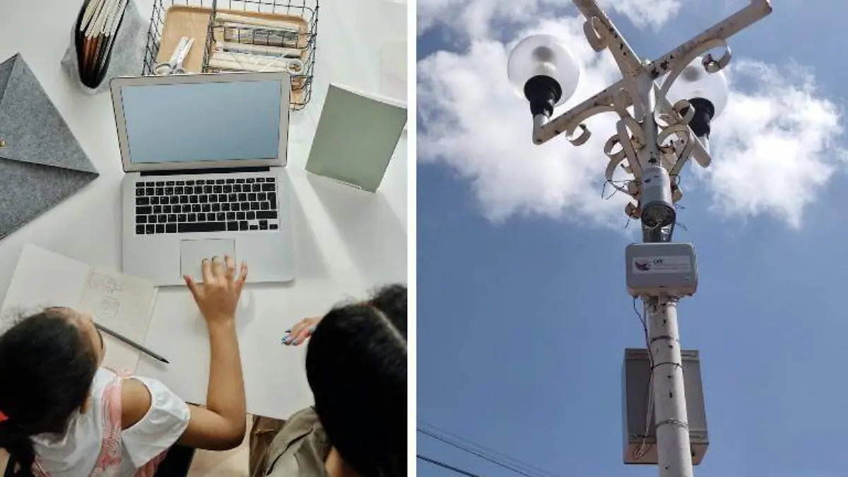 virtulamsas