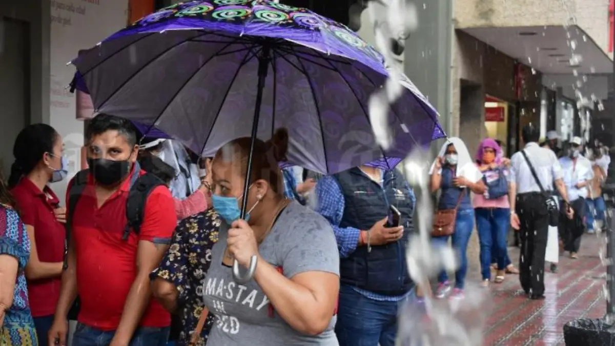 800_500_white_5f5e1abca97c2 (1)